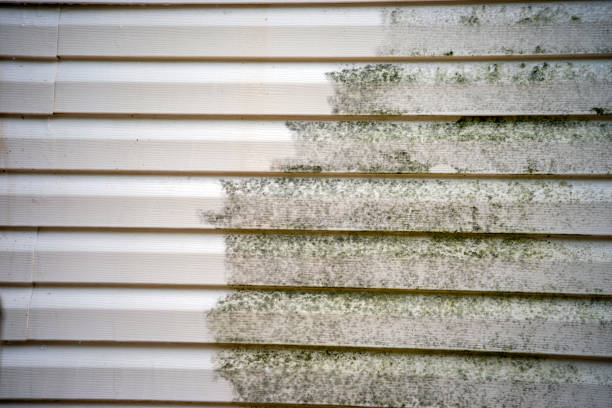 Best Stucco Siding  in Sylvan Springs, AL