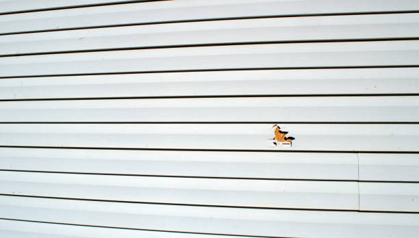 Siding for Commercial Buildings in Sylvan Springs, AL